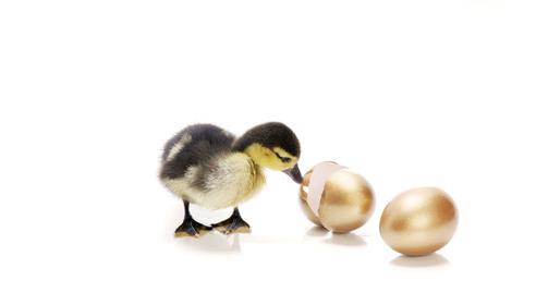 Die goldene Gans online